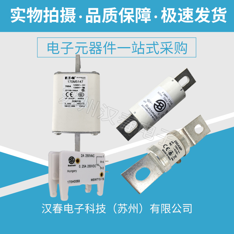 170M3008巴斯曼熔斷器